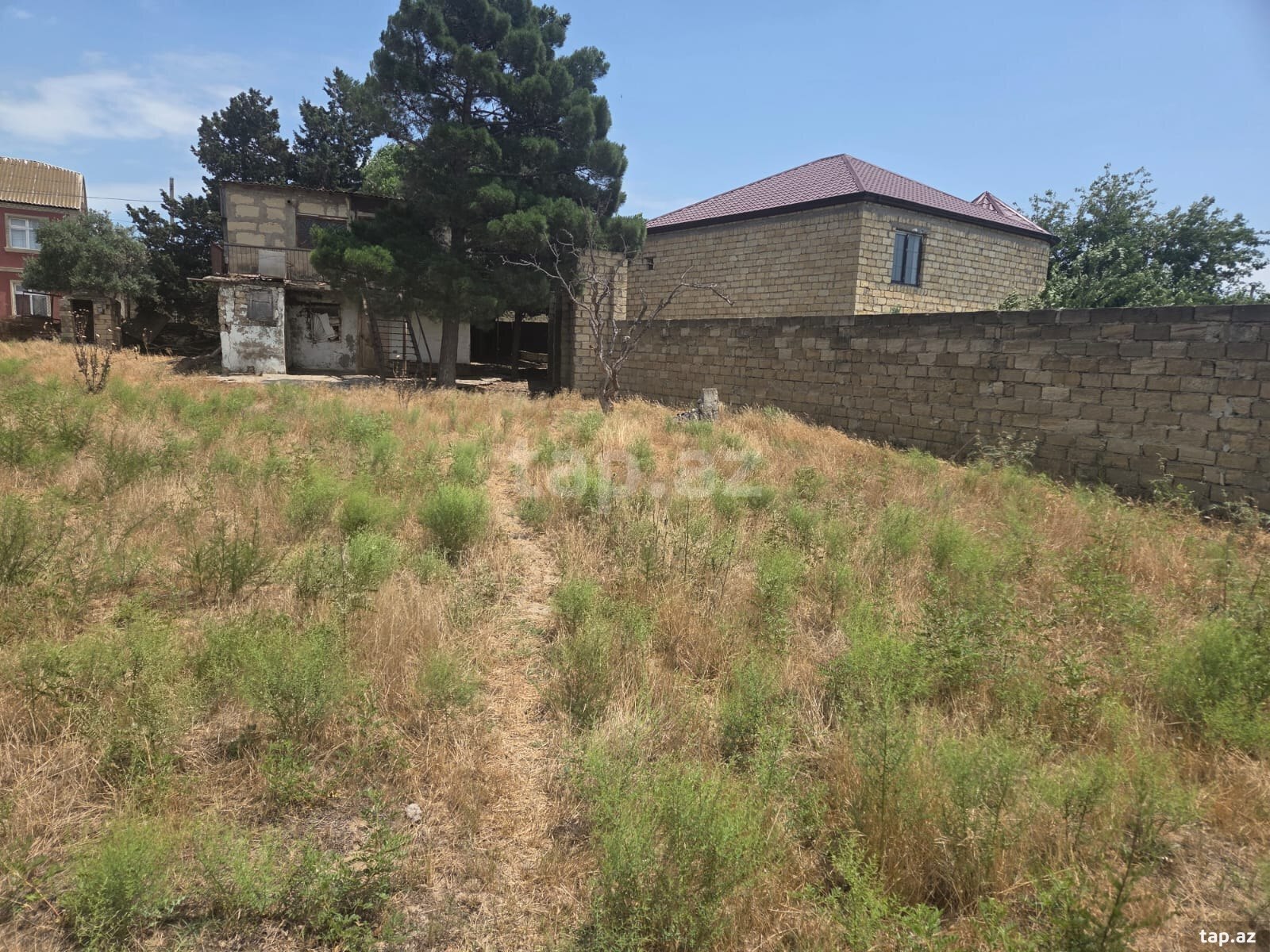 13 sot torpaq sahəsi, Saray qəs. (2)