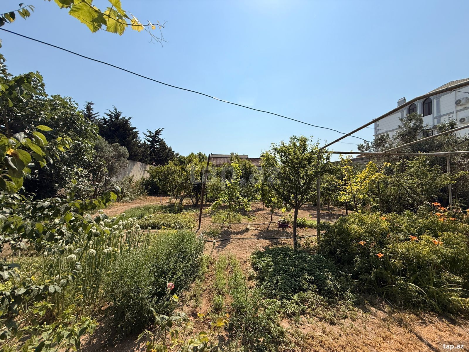 Land for sale, Mardakan, Baku