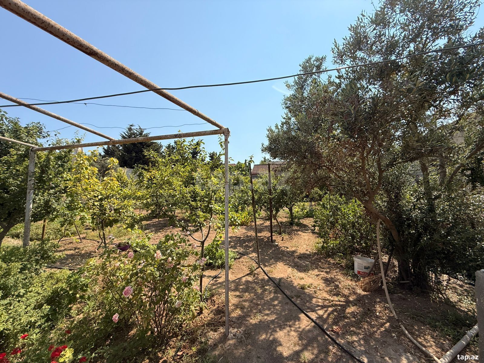 Land for sale, Mardakan, Baku