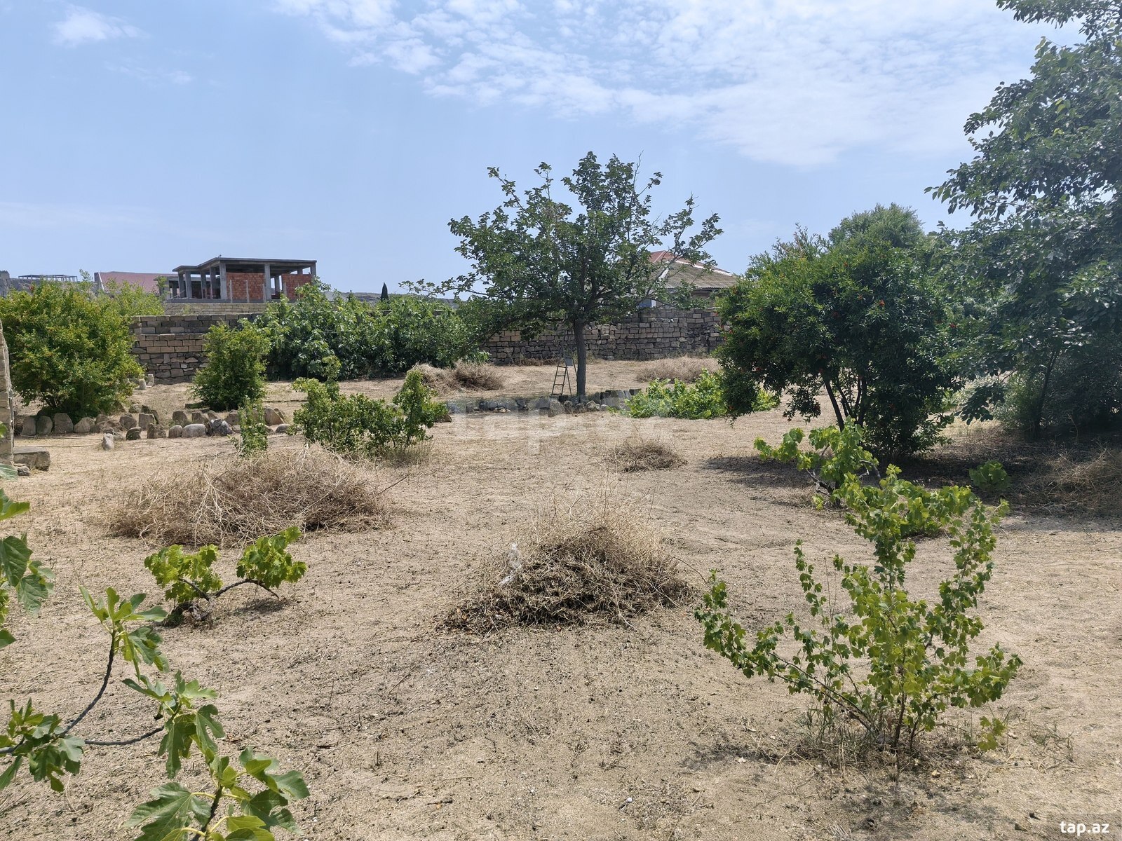 Bağ evi kirayə verilir, Nardaran qəs. (15)