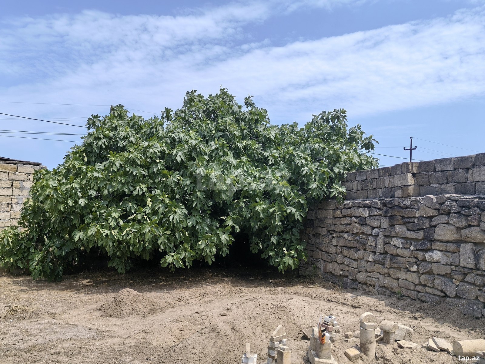 Bağ evi kirayə verilir, Nardaran qəs. (19)