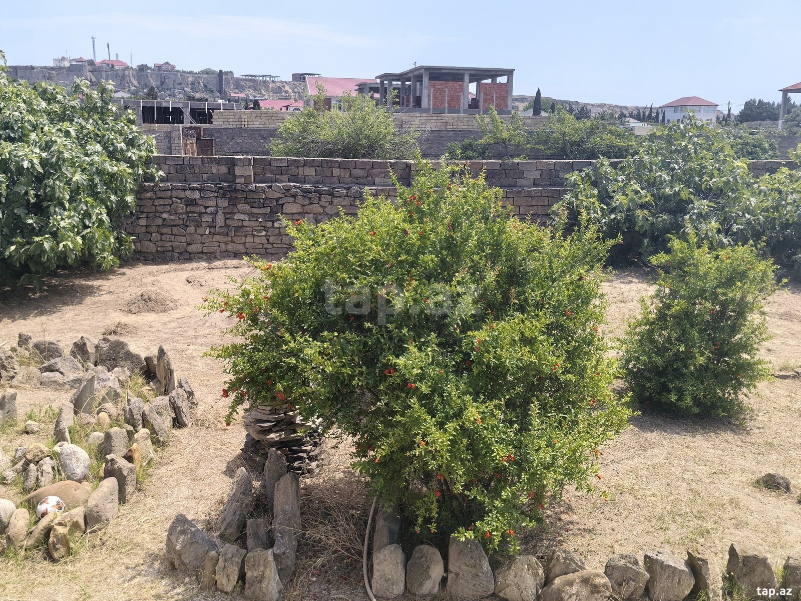 Bağ evi kirayə verilir, Nardaran qəs. (24)