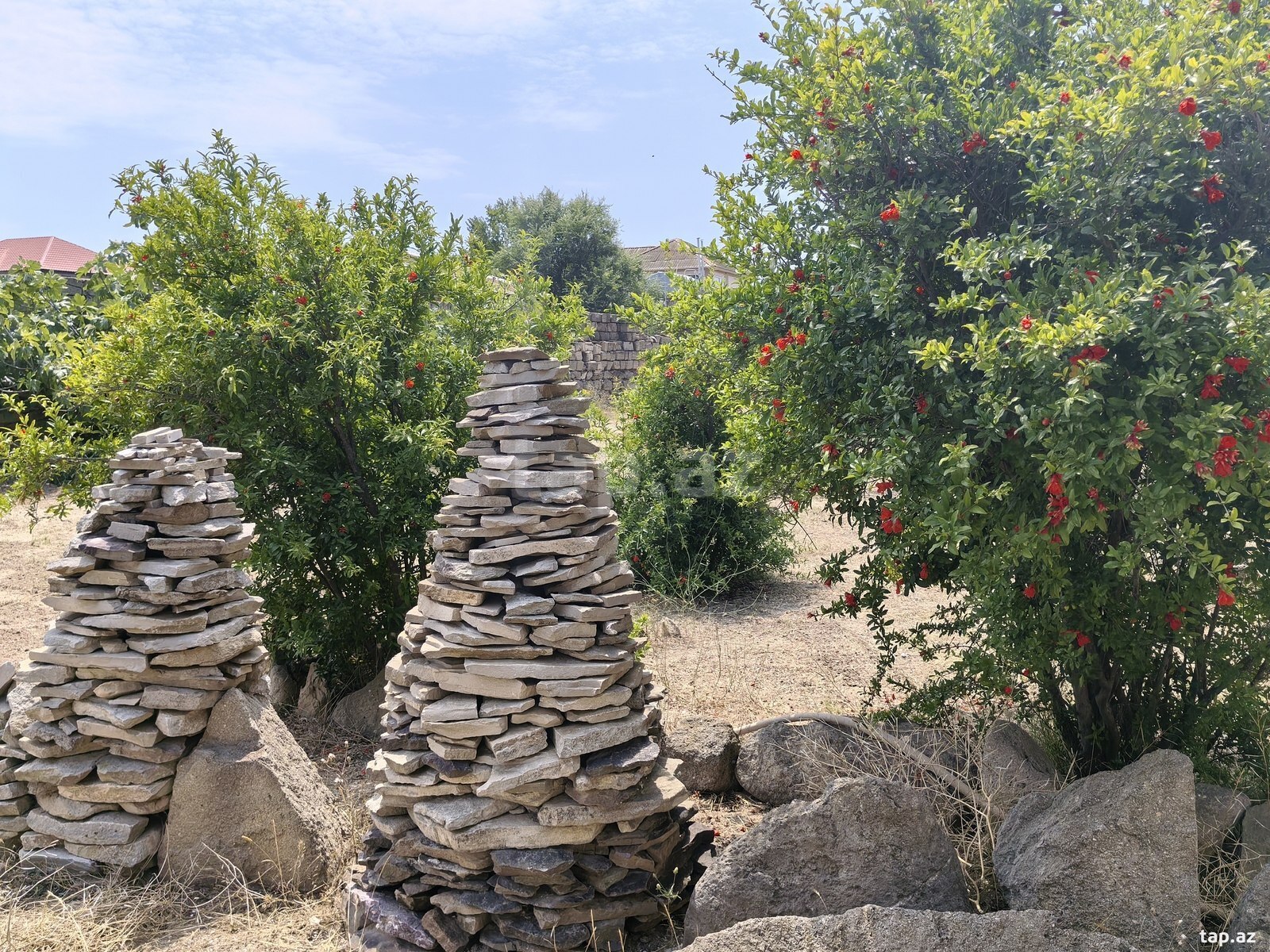 Bağ evi kirayə verilir, Nardaran qəs. (21)