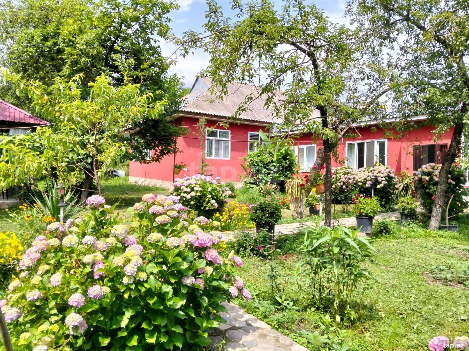 Həyət evi kirayə verilir, Qəbələ ş.