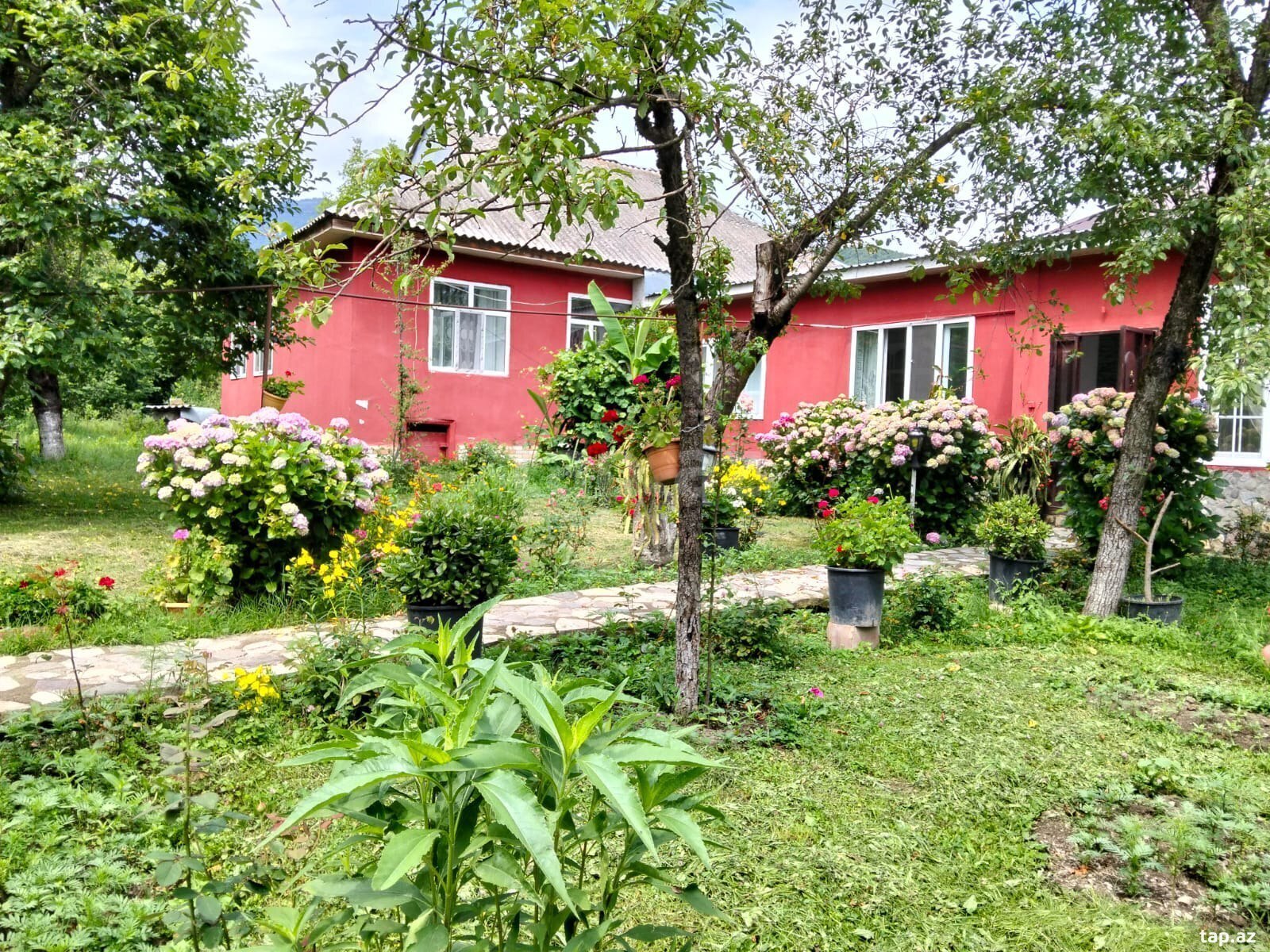 Həyət evi kirayə verilir, Qəbələ ş. (2)