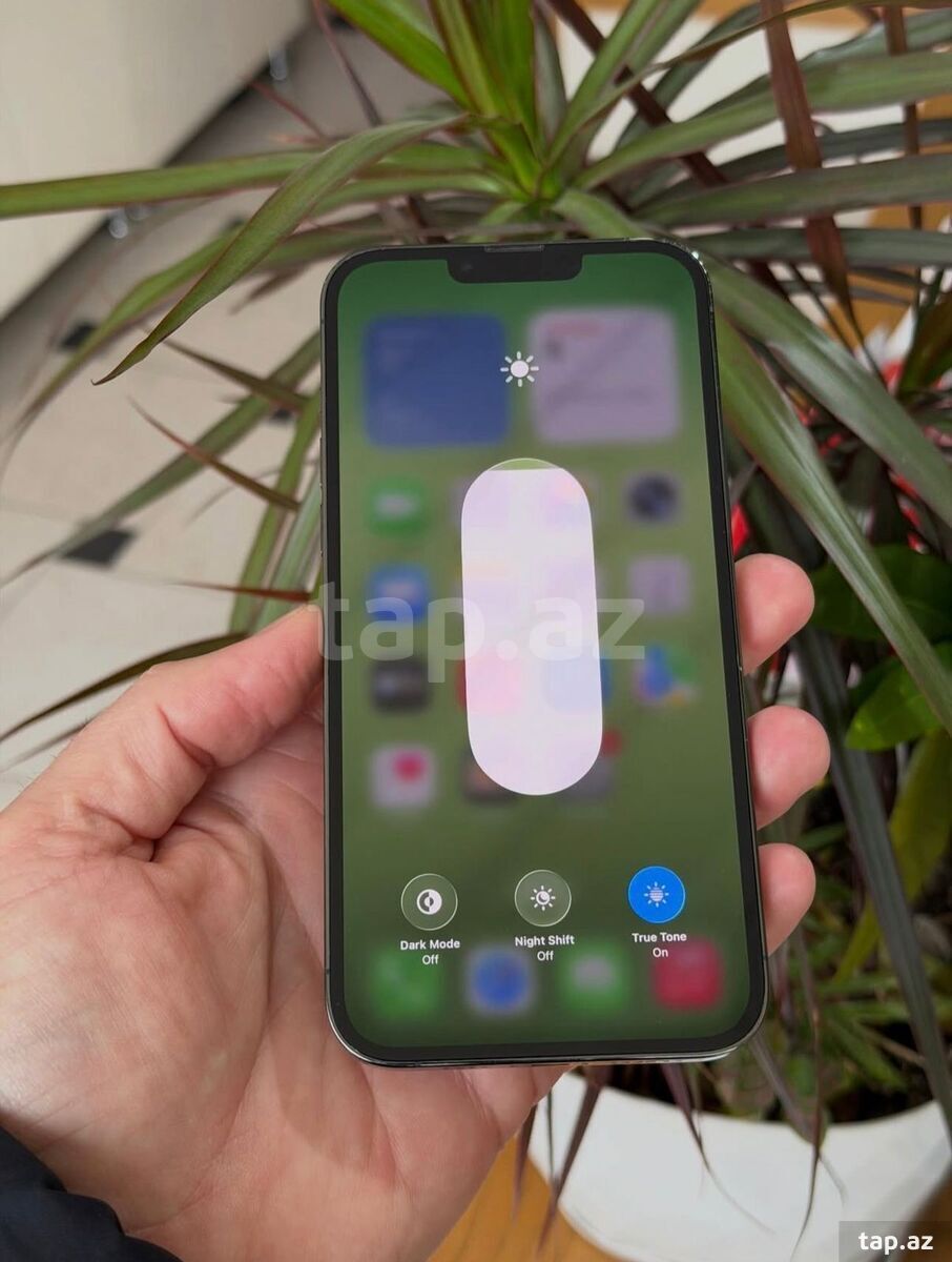 Apple iPhone 13 Pro Max Alpine Green 512GB/6GB (2)