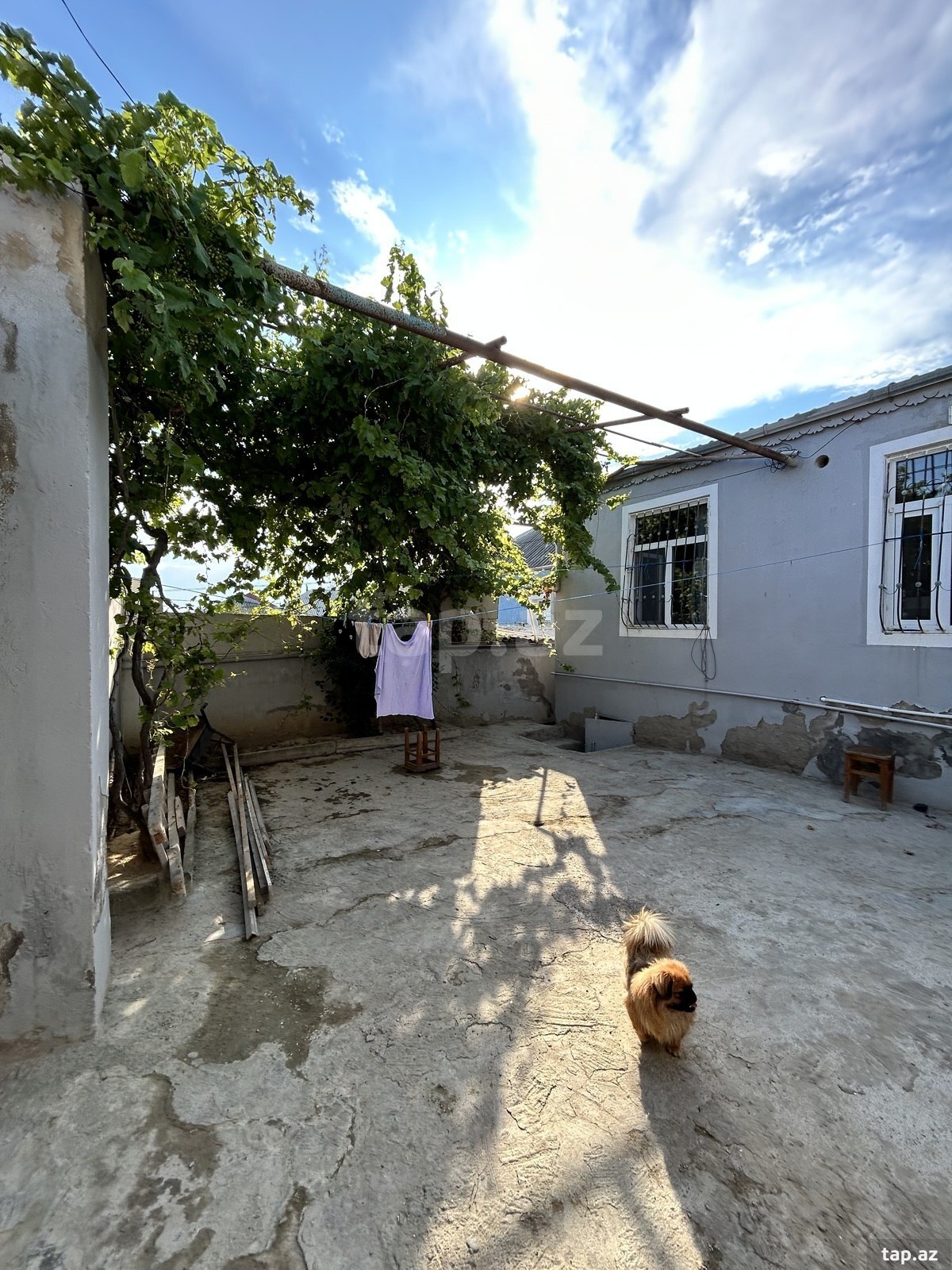 Həyət evi, Binə qəs. (2)