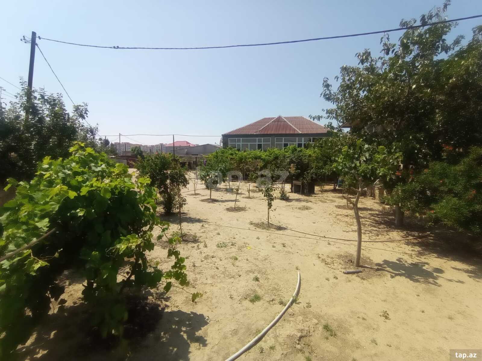 Həyət evi, Məmmədli qəs. (18)