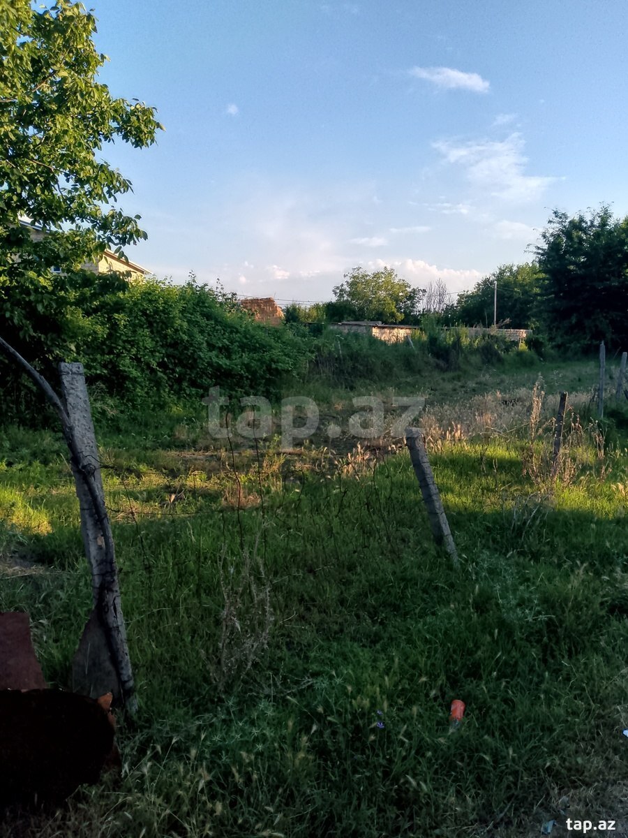 8 sot torpaq sahəsi, Zazalı k.