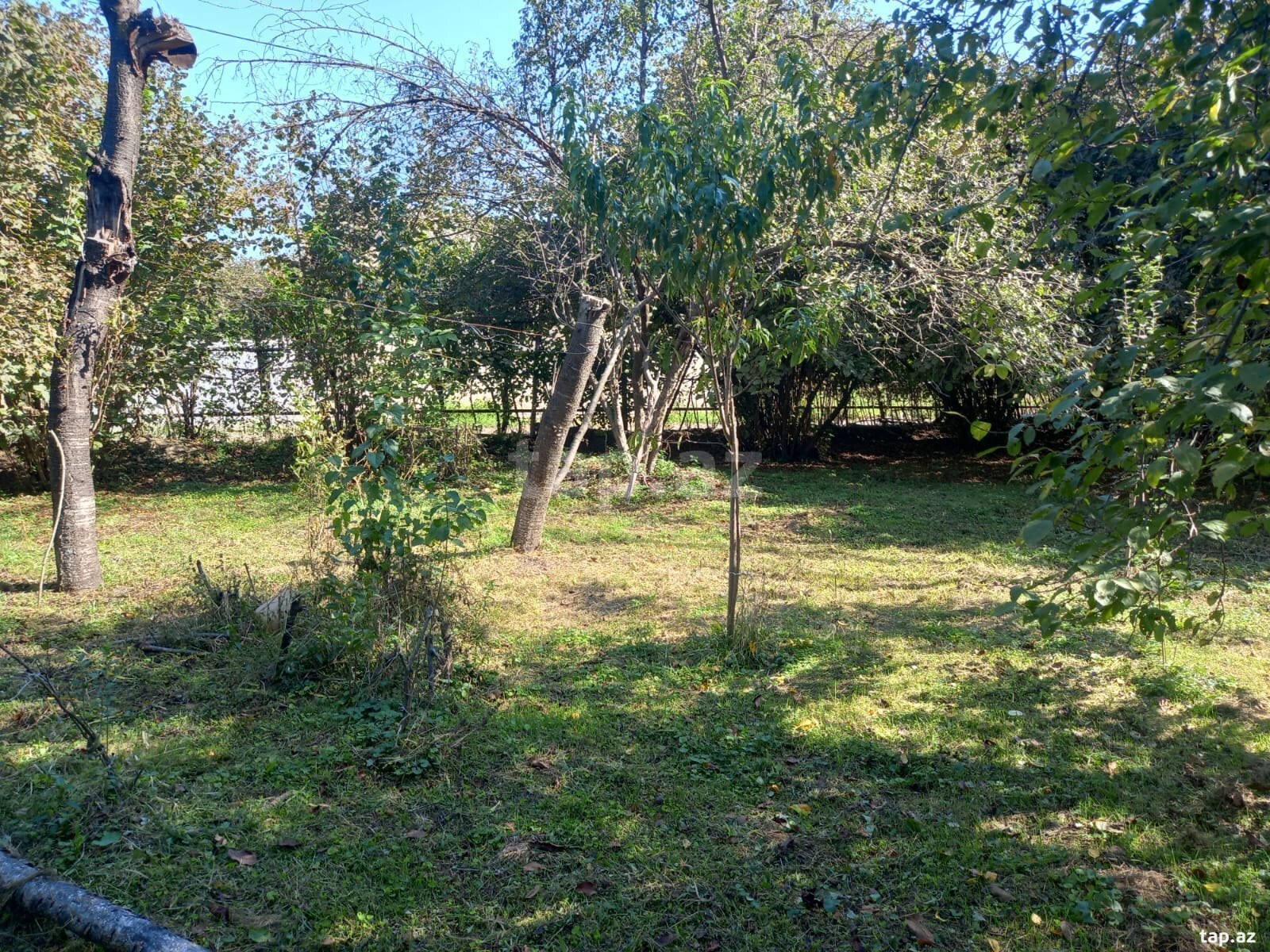 Həyət evi kirayə verilir, Şəki ş. (22)