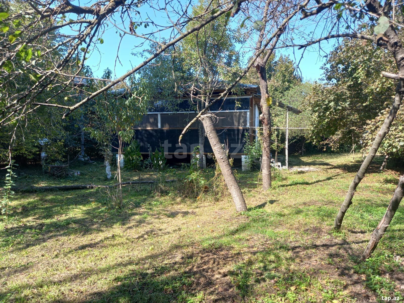 Həyət evi kirayə verilir, Şəki ş. (24)