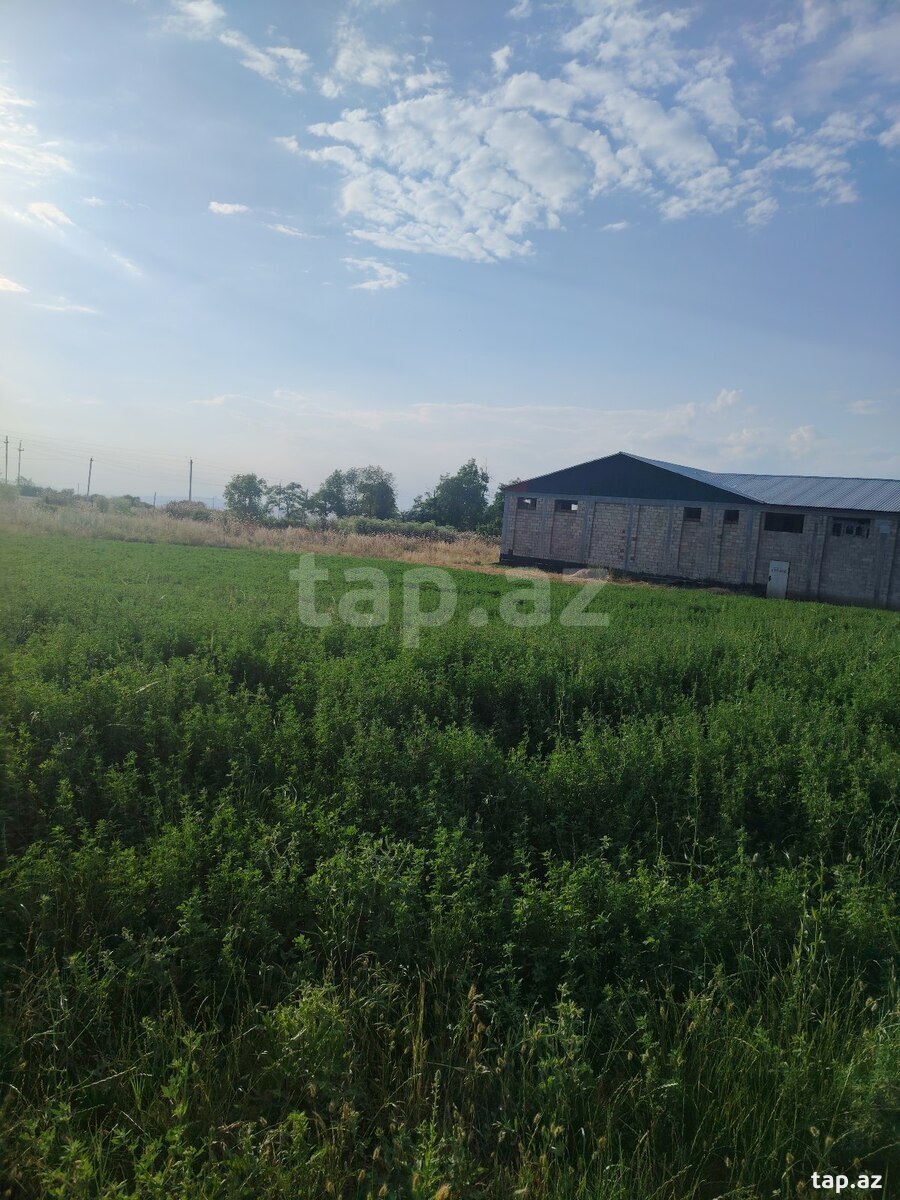 12 sot torpaq sahəsi, İsmayıllı r.