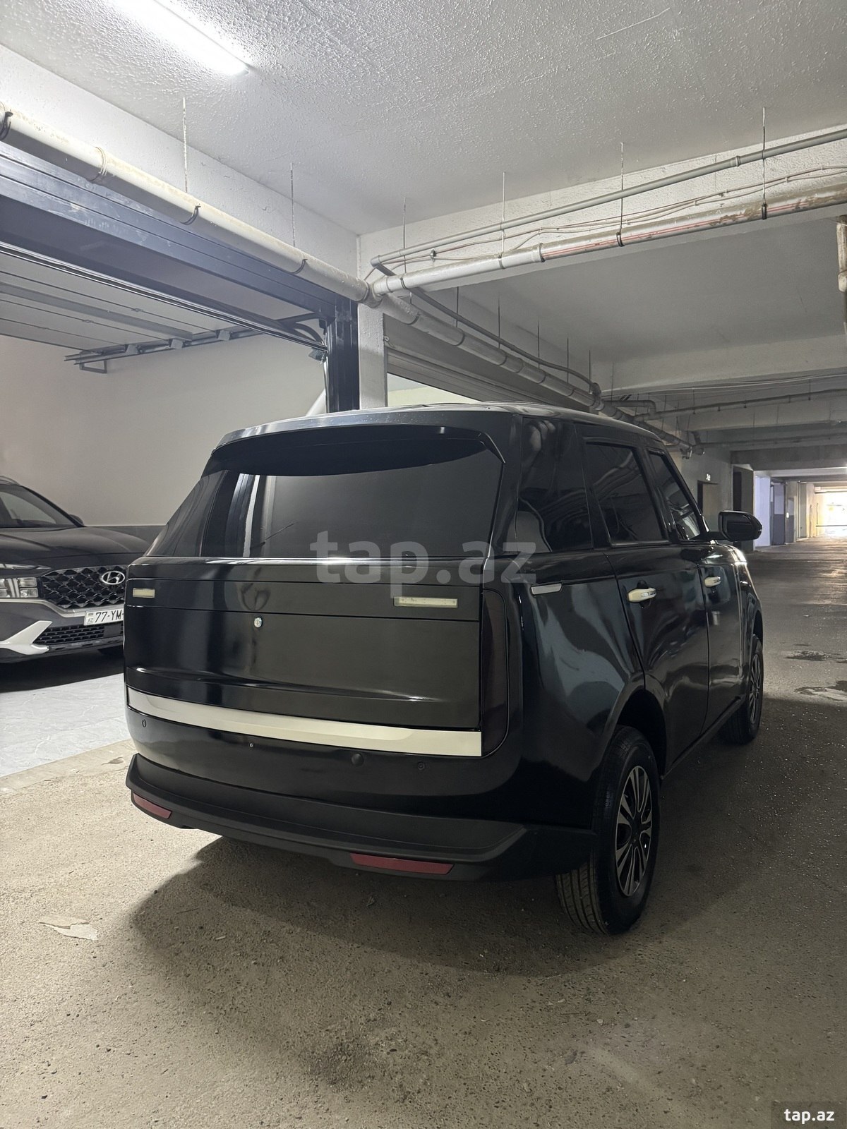 Qolf kar, 2025 il (2)