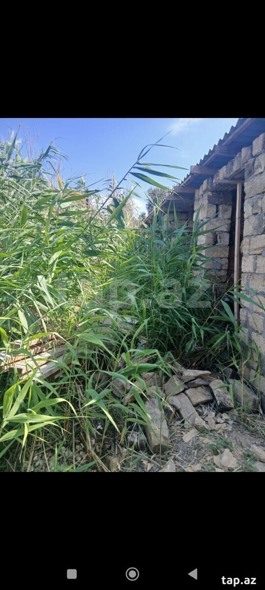 Həyət evi, Xocasən qəs. (3)