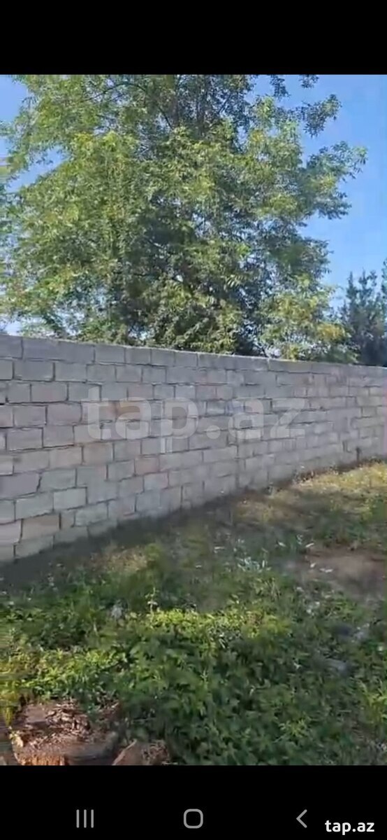 22 sot torpaq sahəsi, Lənkəran ş. (5)