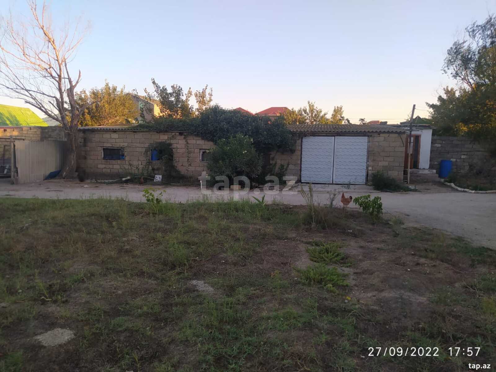 Bağ evi, Pirşağı qəs. (14)