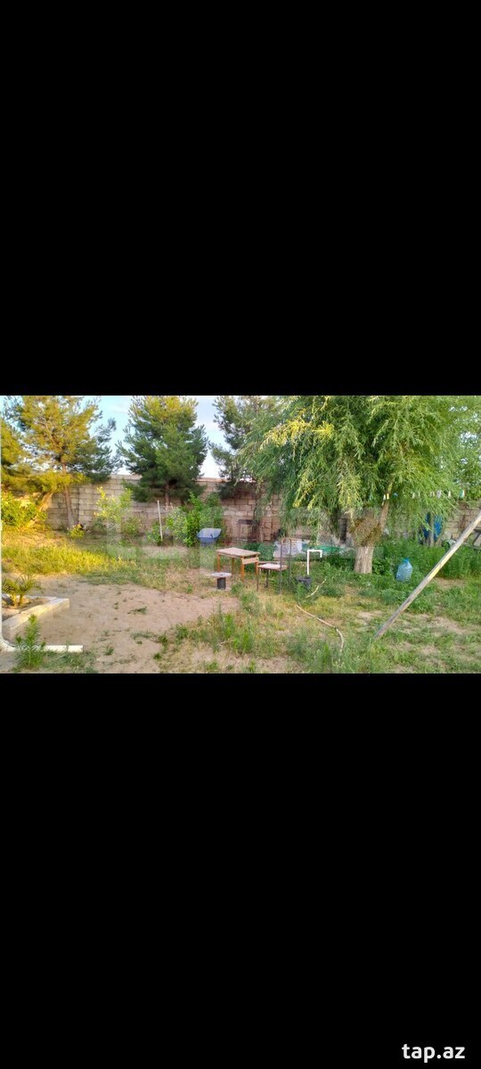 Bağ evi, Nardaran qəs. (5)