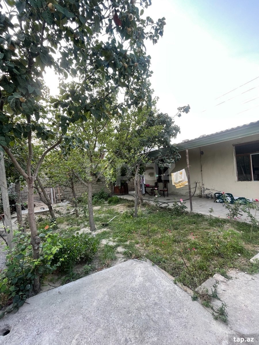 Həyət evi, Yeni Ramana qəs.