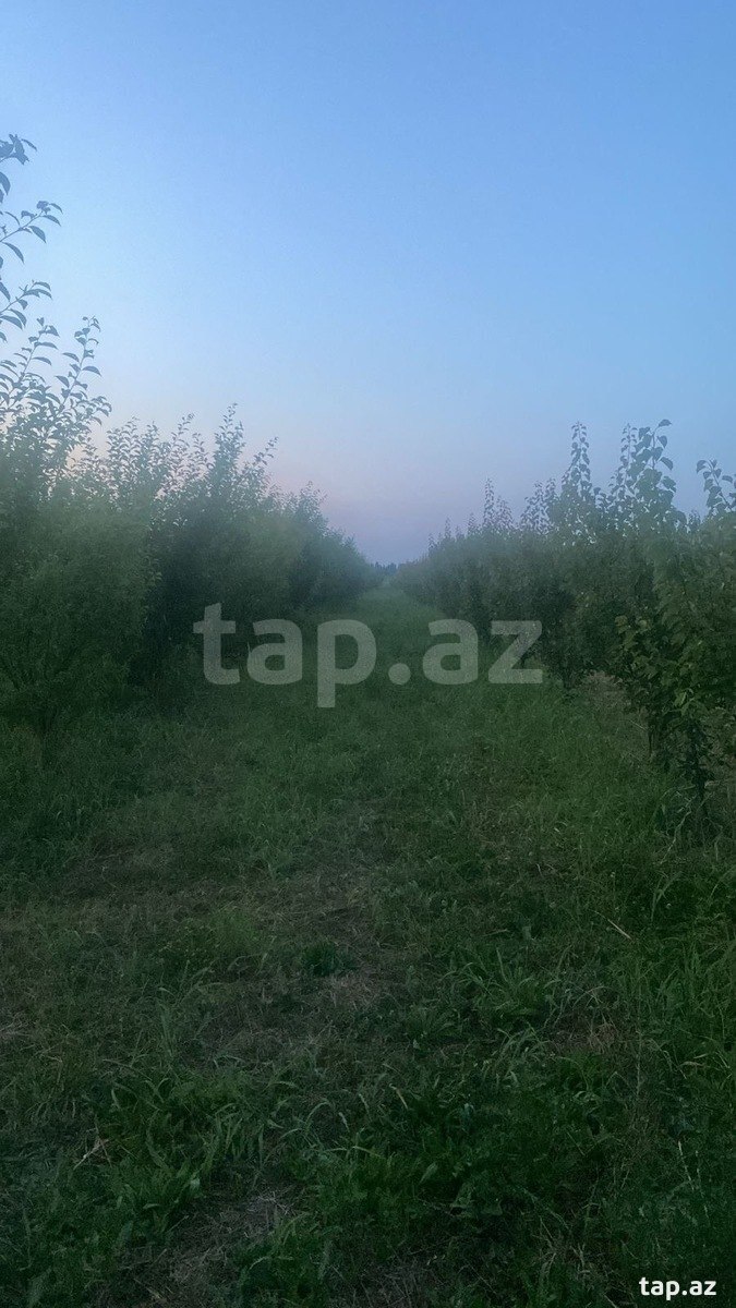 300 sot torpaq sahəsi, Quba r.