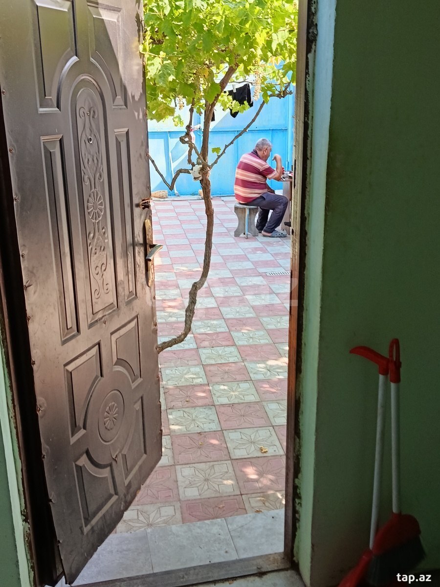1-otaqlı yeni tikili kirayə verilir, Saray qəs., 20 m² (5)