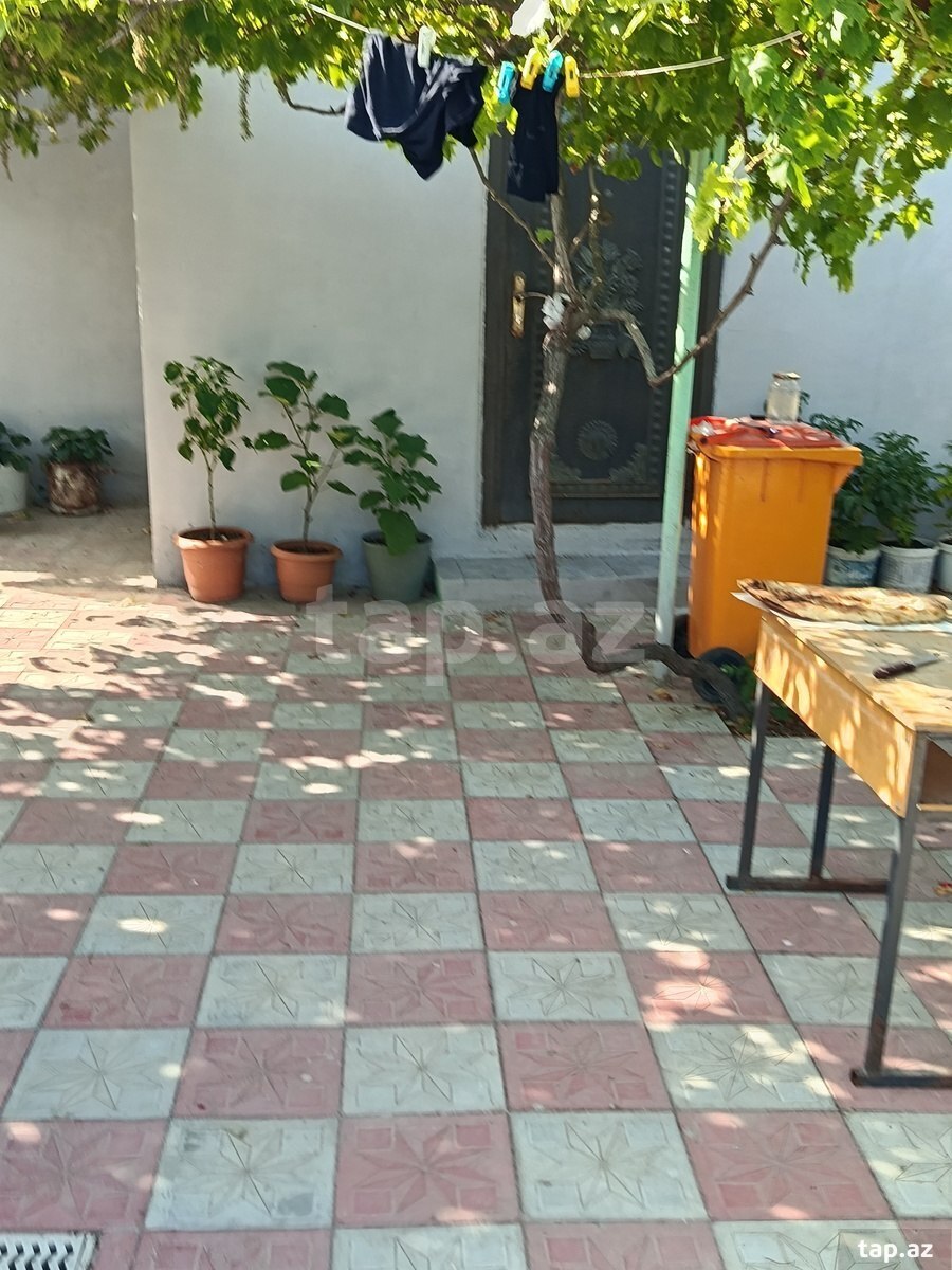 1-otaqlı yeni tikili kirayə verilir, Saray qəs., 20 m² (7)