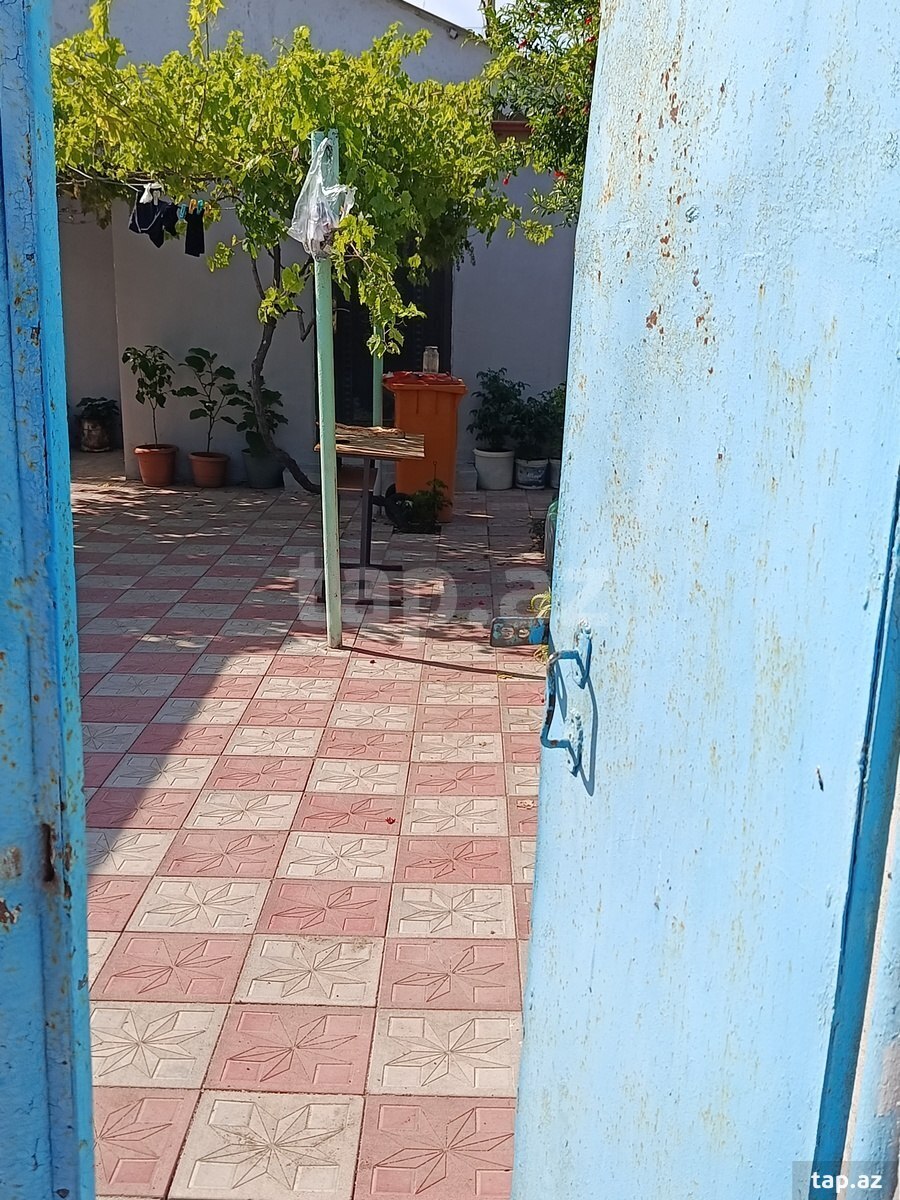 1-otaqlı yeni tikili kirayə verilir, Saray qəs., 20 m² (4)