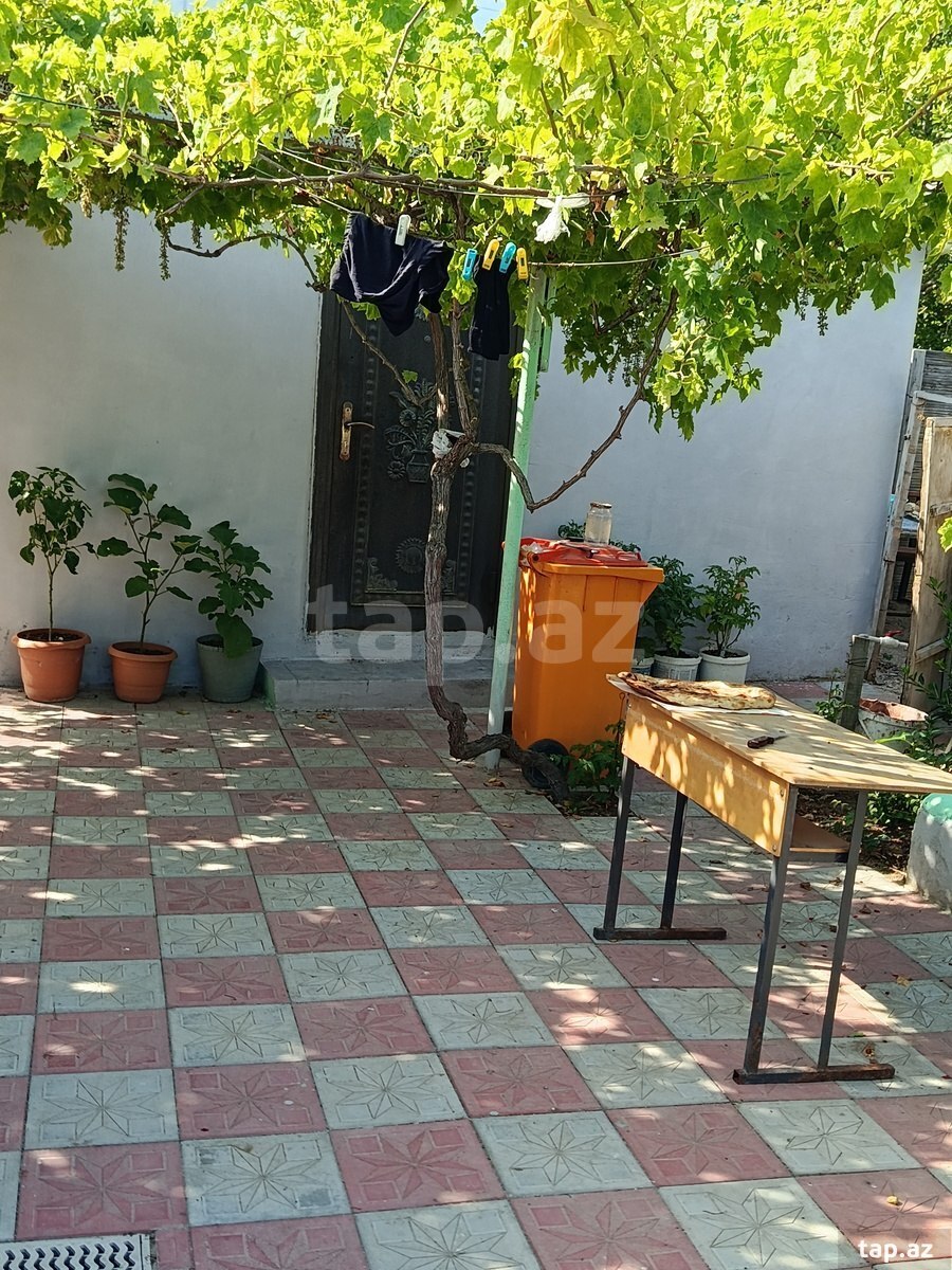 1-otaqlı yeni tikili kirayə verilir, Saray qəs., 20 m² (3)