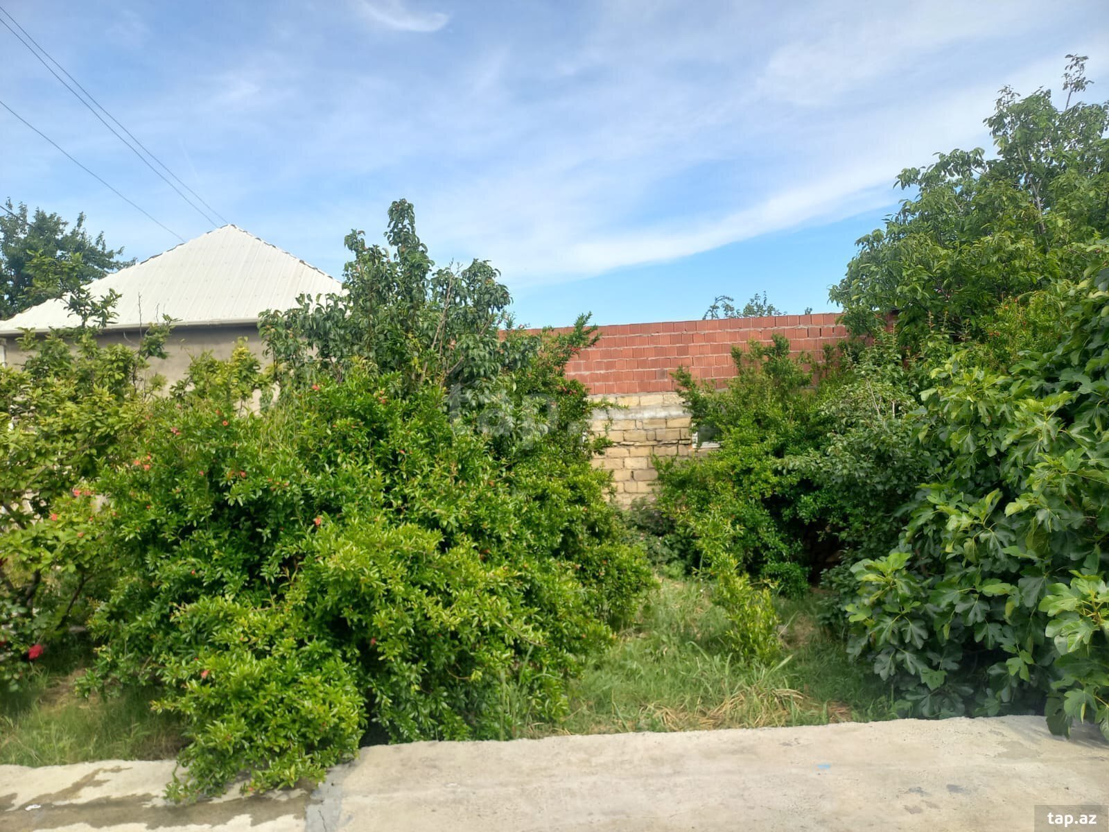Həyət evi, Masazır qəs. (13)