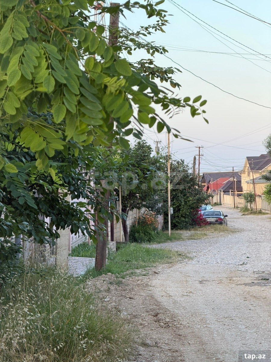 3 sot torpaq sahəsi, Qusar r. (3)