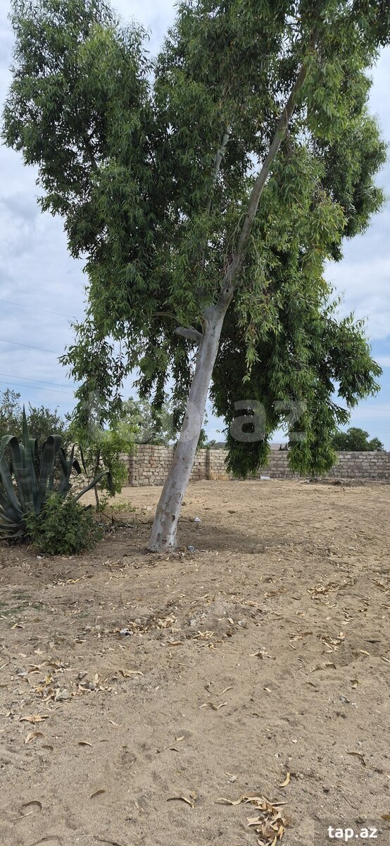 6 sot torpaq sahəsi, Qala qəs. (2)