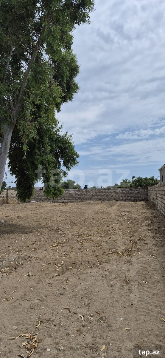 6 sot torpaq sahəsi, Qala qəs. (3)