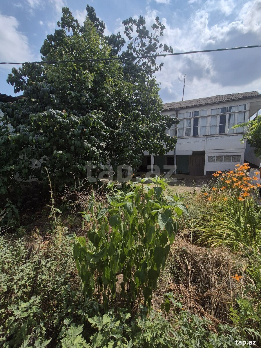 Həyət evi, Gəncə ş. (16)