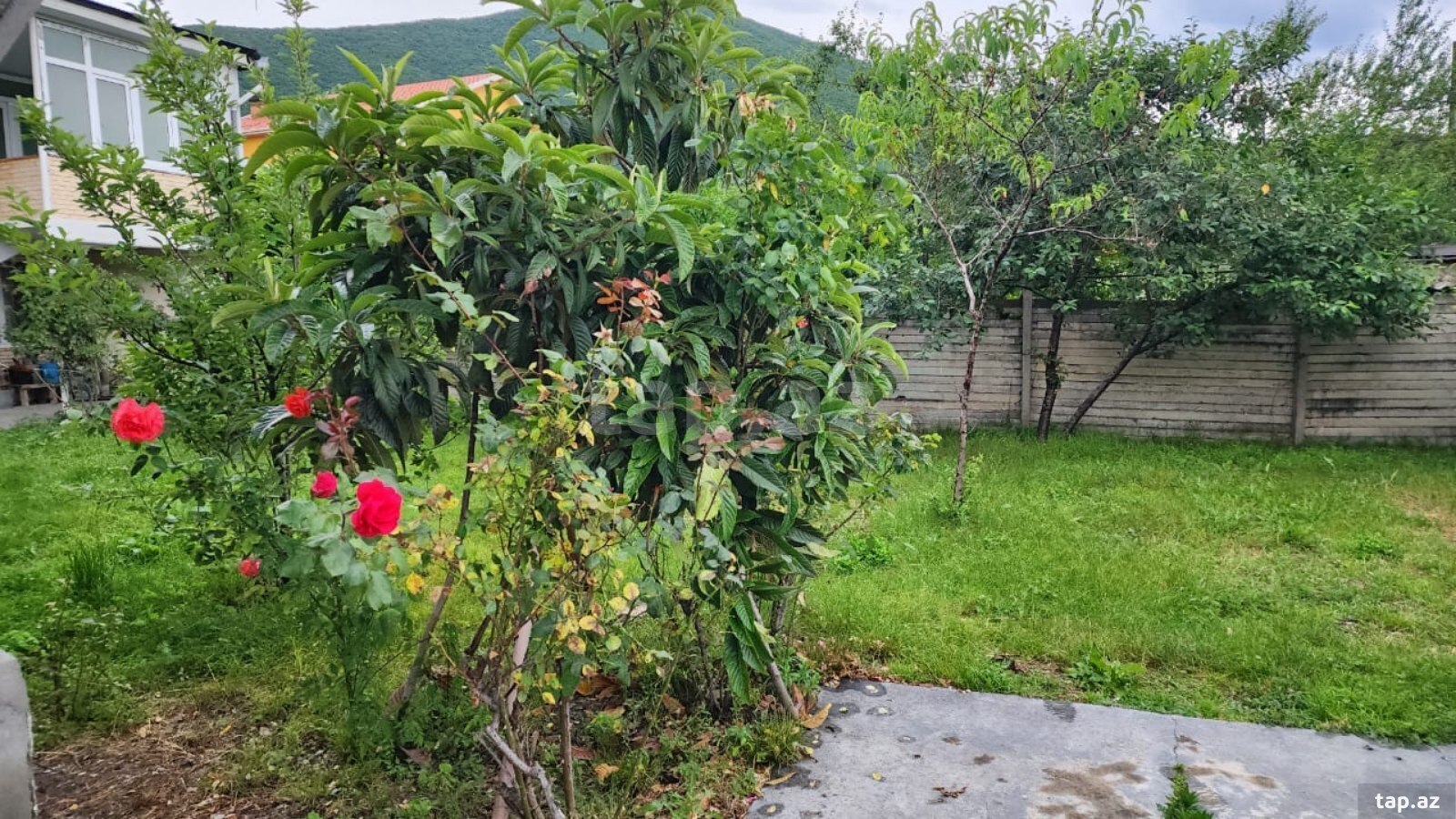 Həyət evi kirayə verilir, Şəki ş. (14)