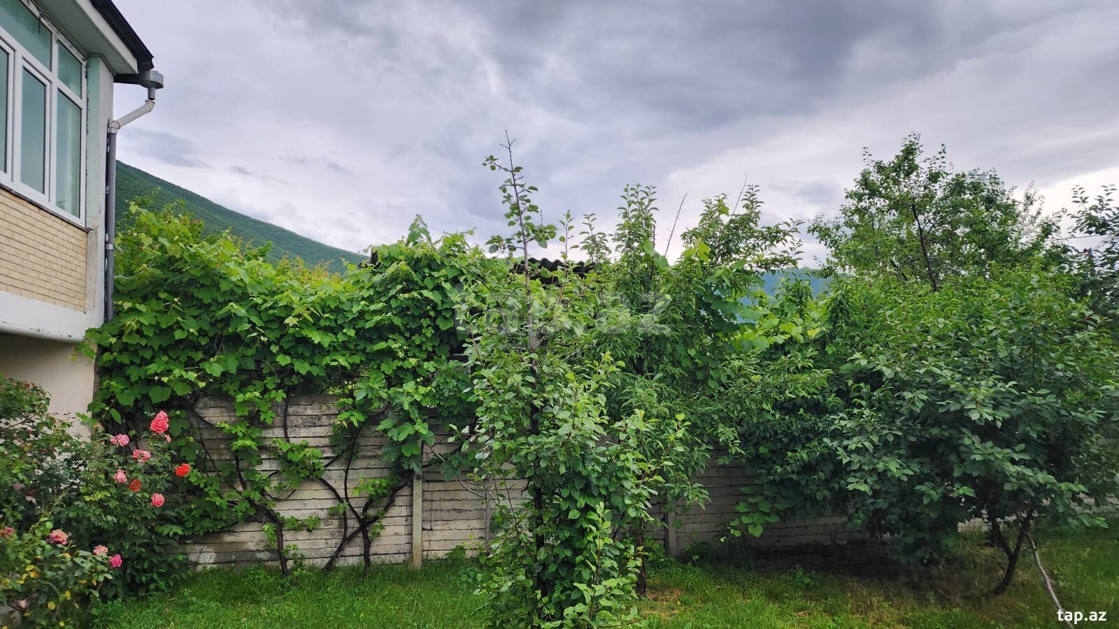 Həyət evi kirayə verilir, Şəki ş. (13)