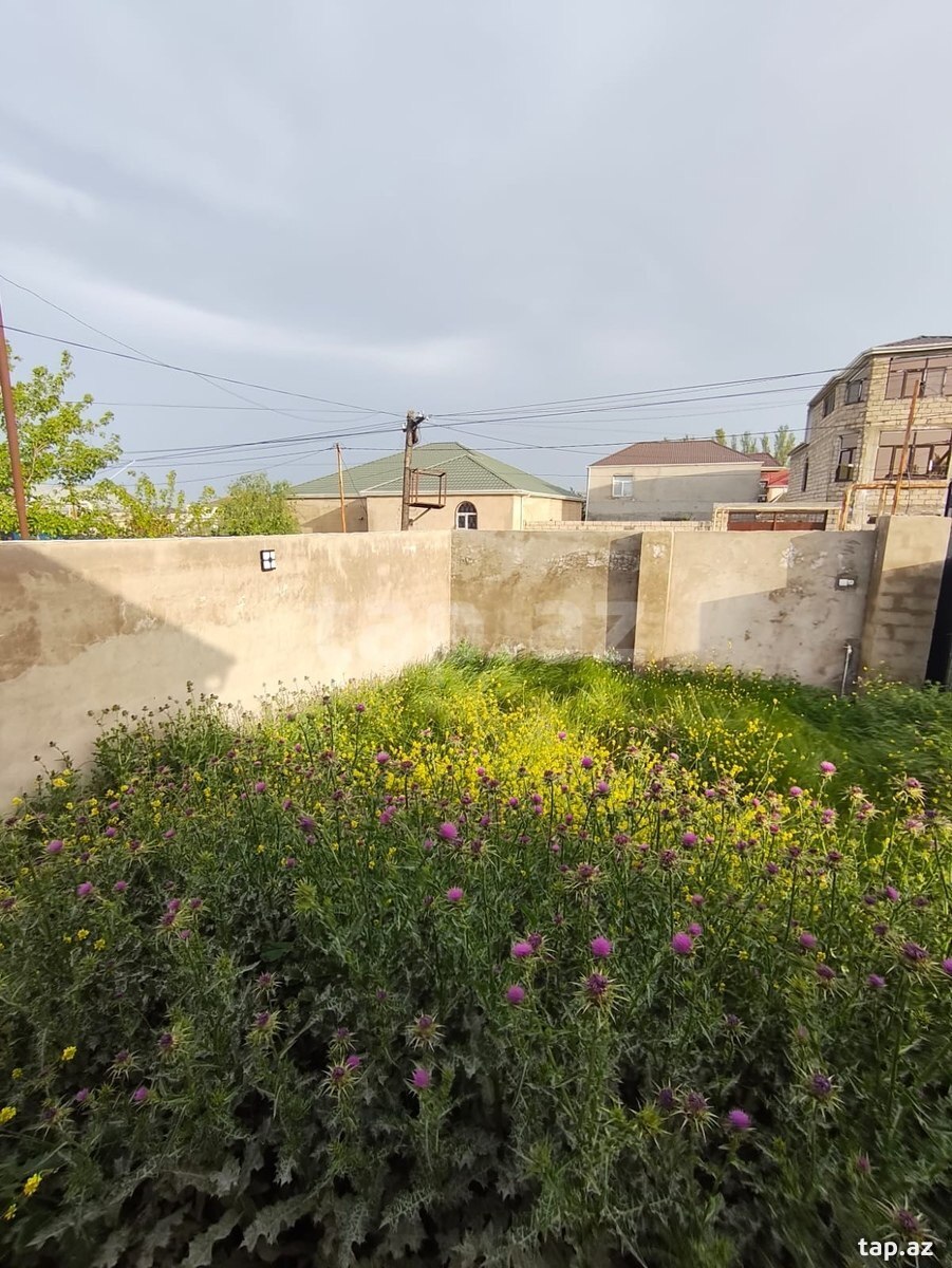 Həyət evi, Buzovna qəs. (13)