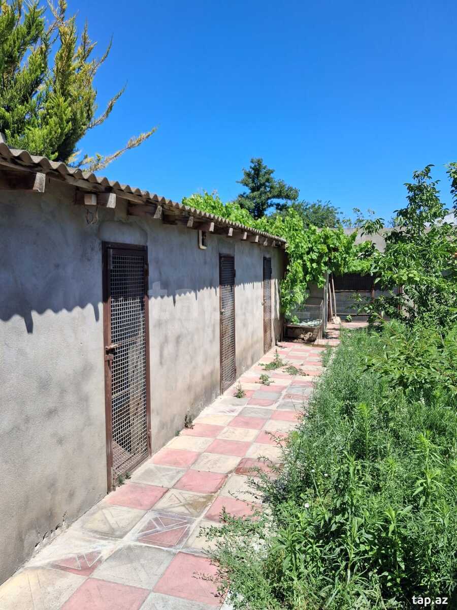 Həyət evi, Maştağa qəs. (11)