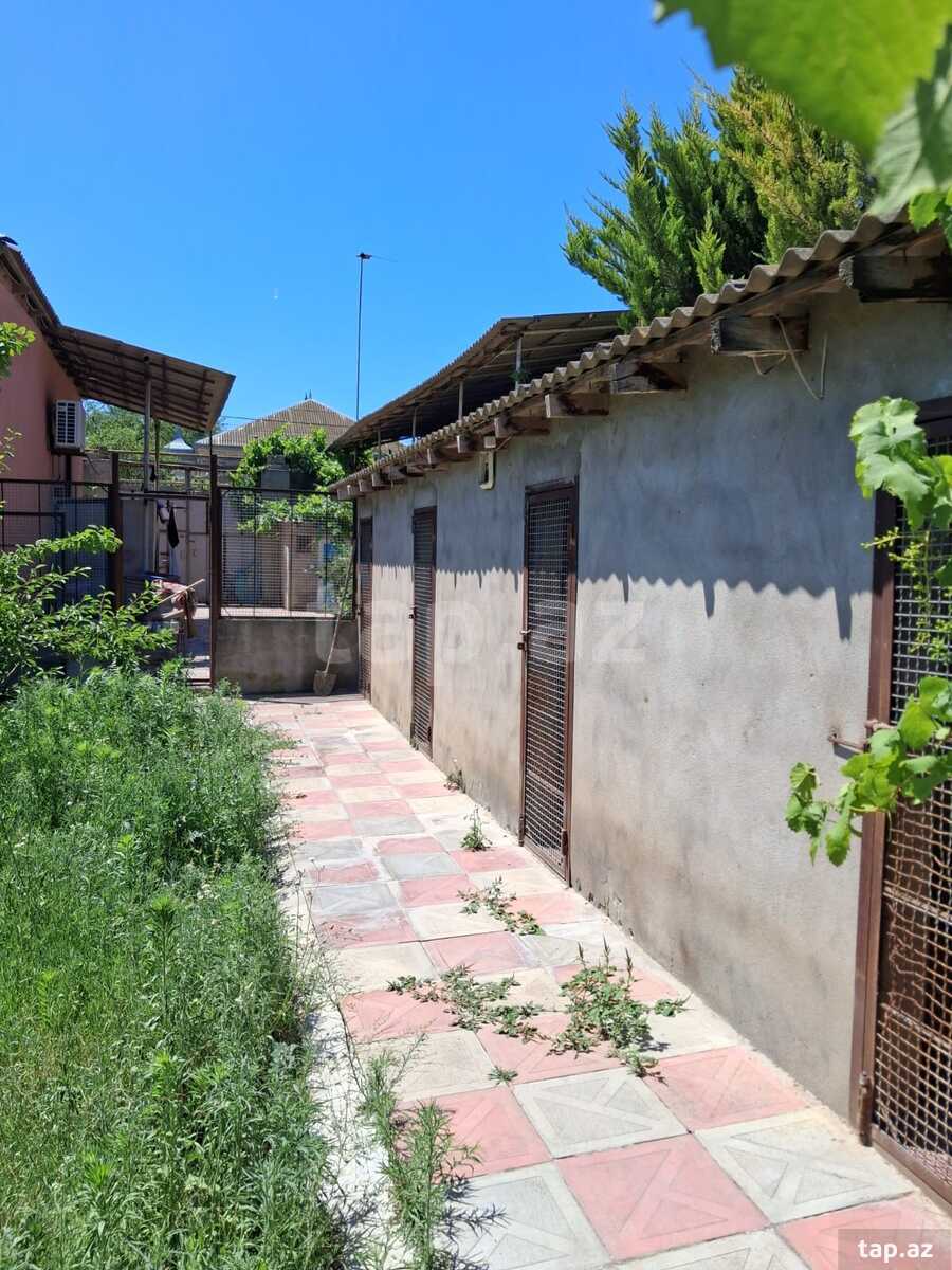Həyət evi, Maştağa qəs. (9)