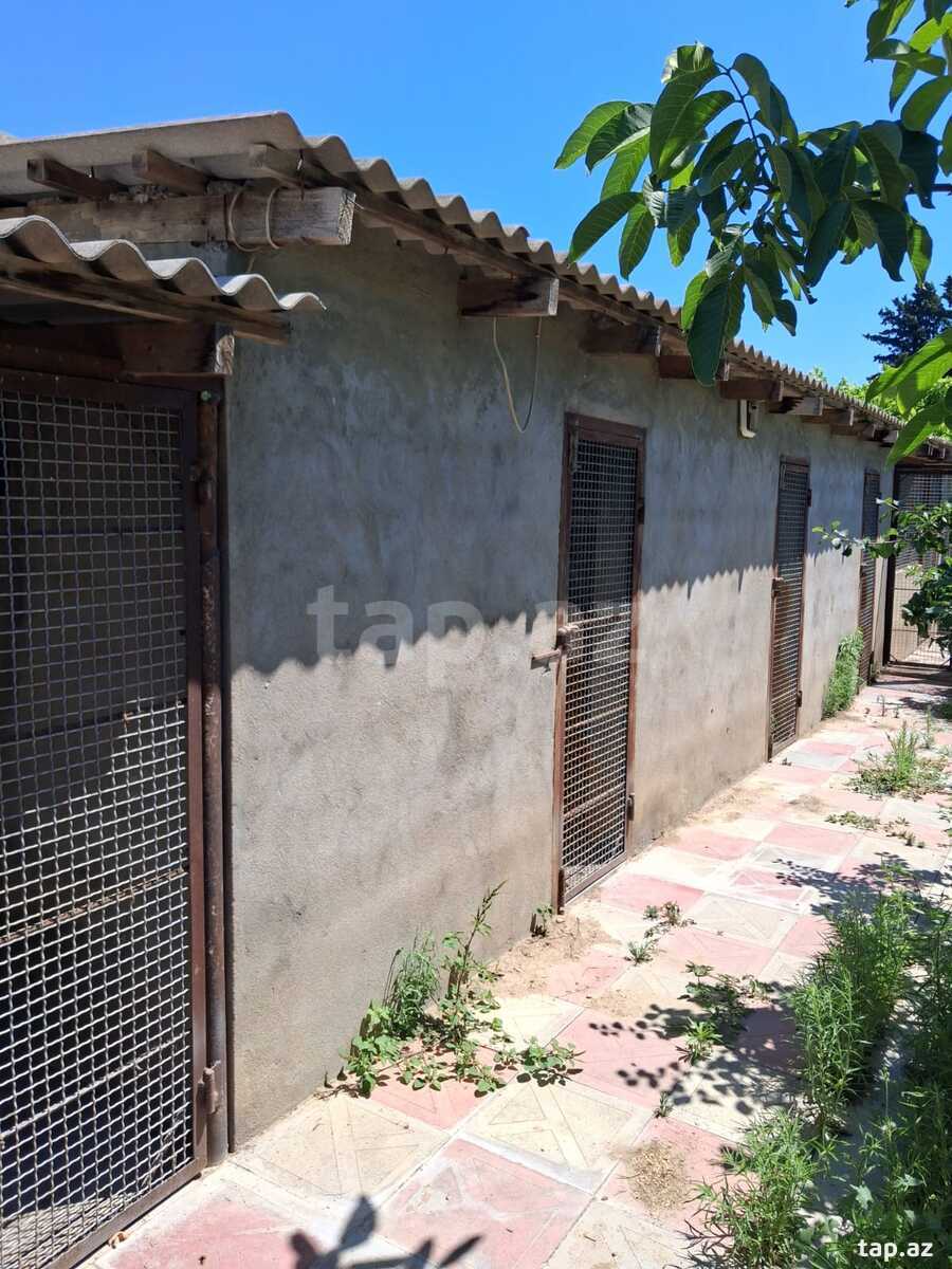 Həyət evi, Maştağa qəs. (5)