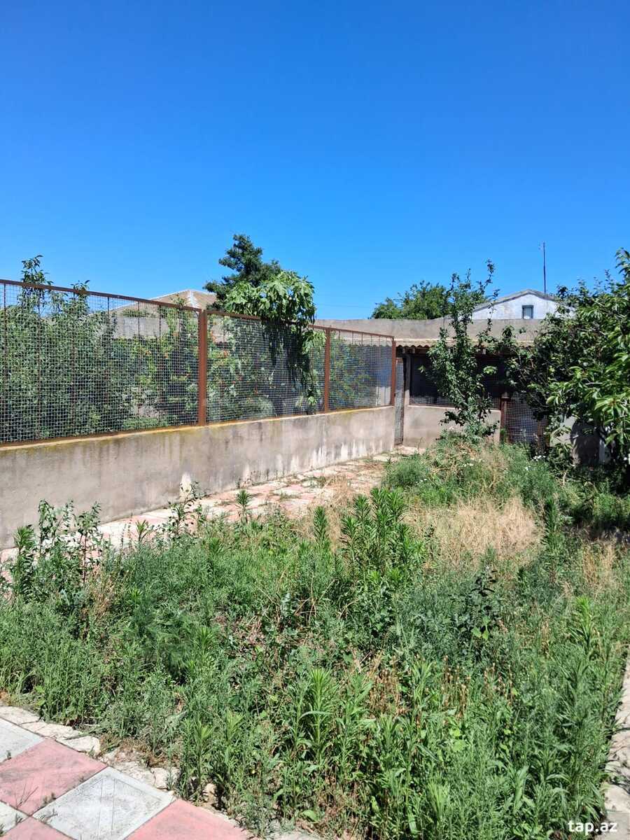 Həyət evi, Maştağa qəs.