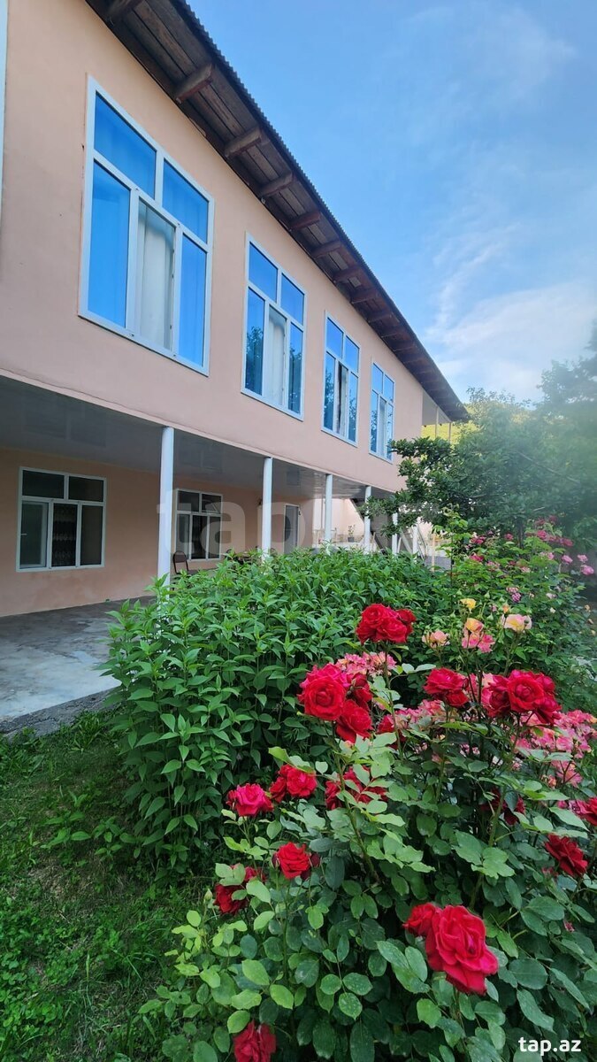 Həyət evi kirayə verilir, Şəki ş.