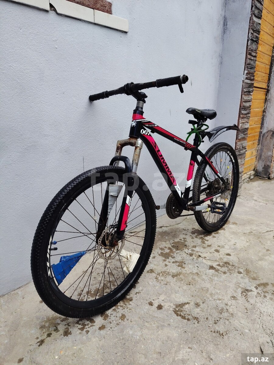 Velosiped