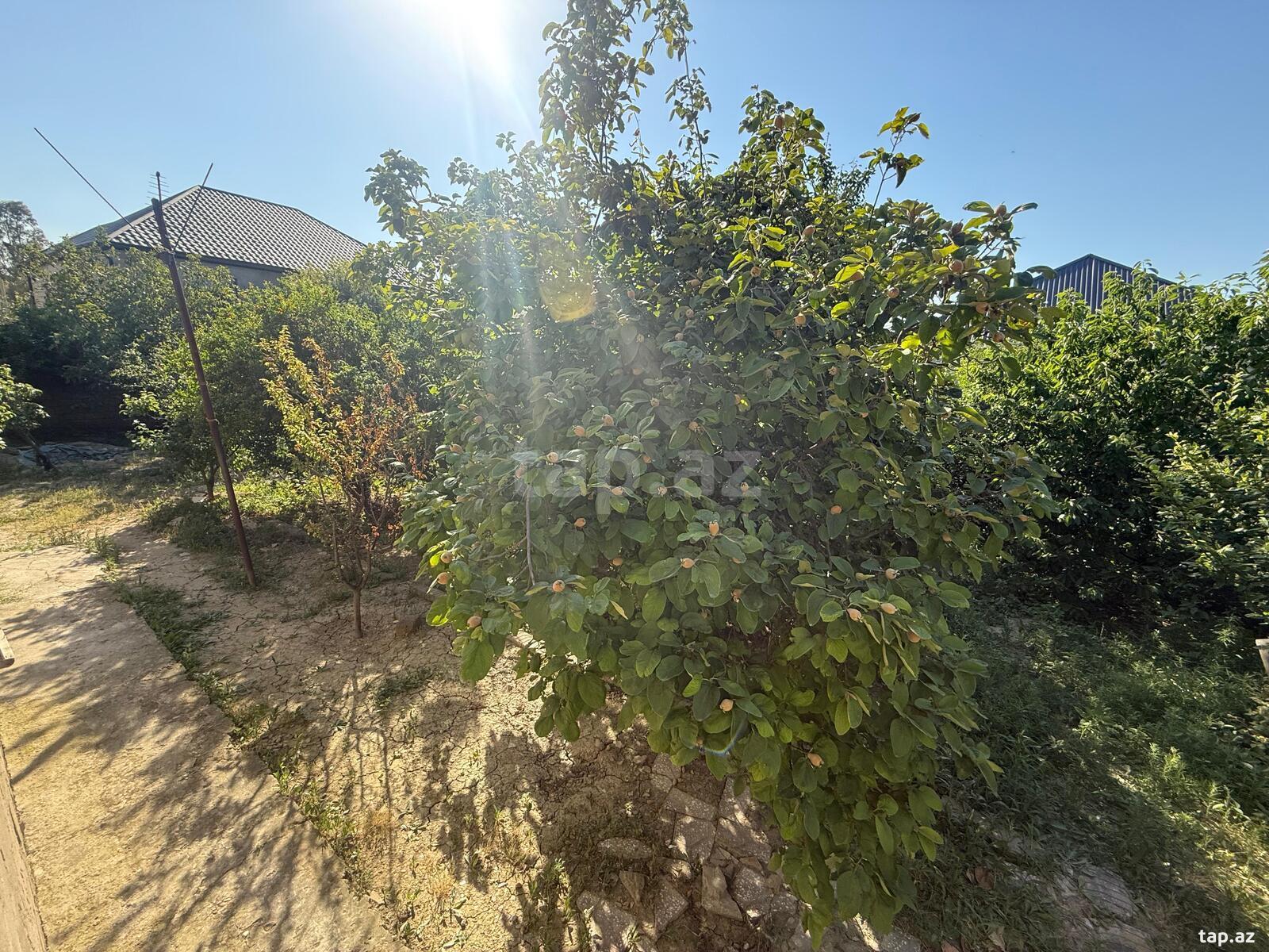 Həyət evi, Maştağa qəs. (10)