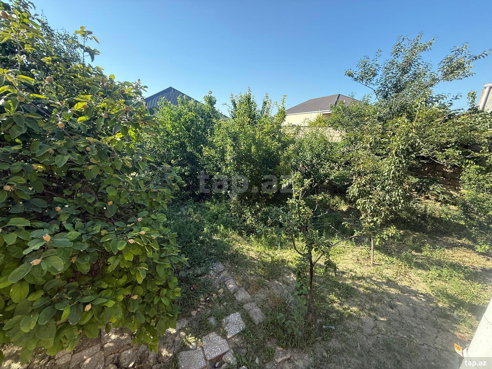 Həyət evi, Maştağa qəs. (11)