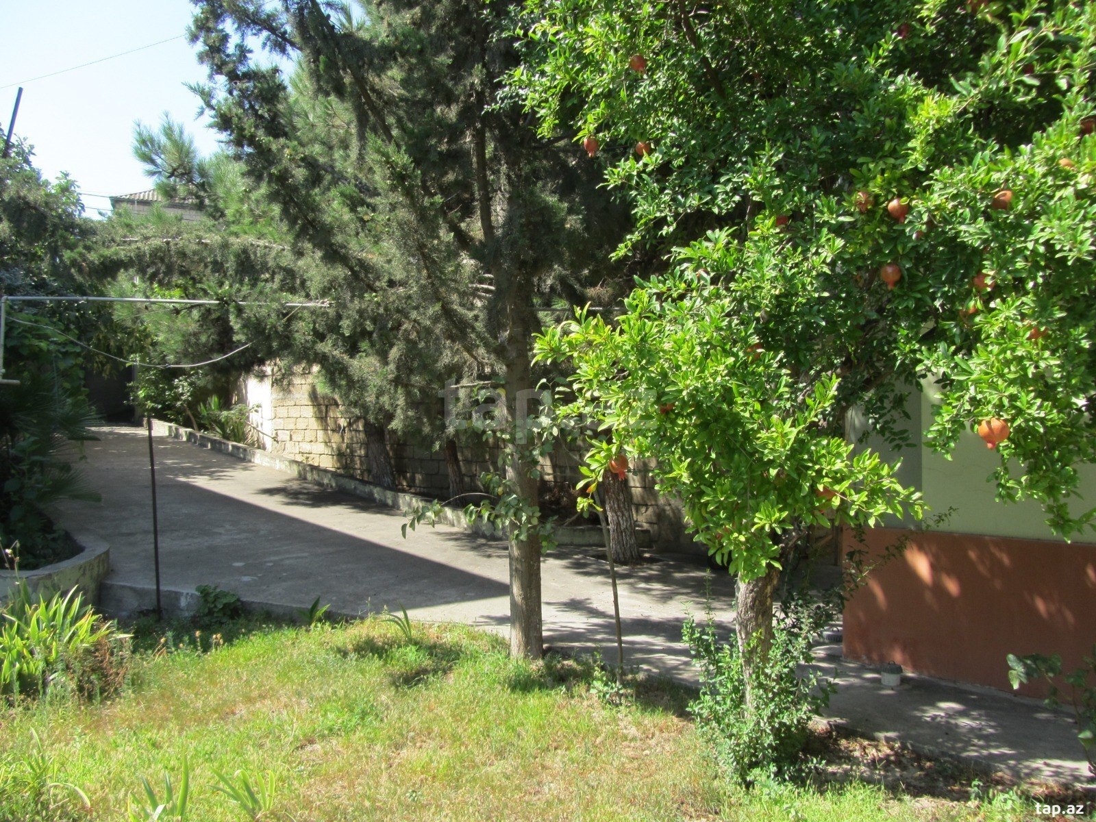 Həyət evi, Zahid Qəmbərov küç. (4)