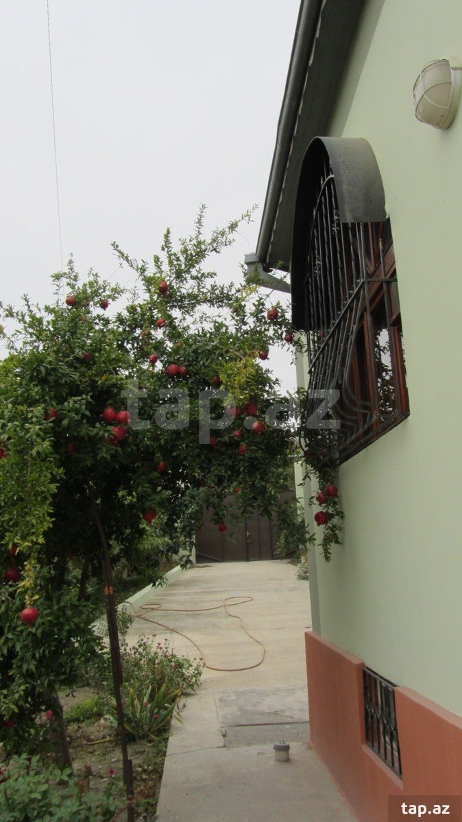 Həyət evi, Zahid Qəmbərov küç. (23)