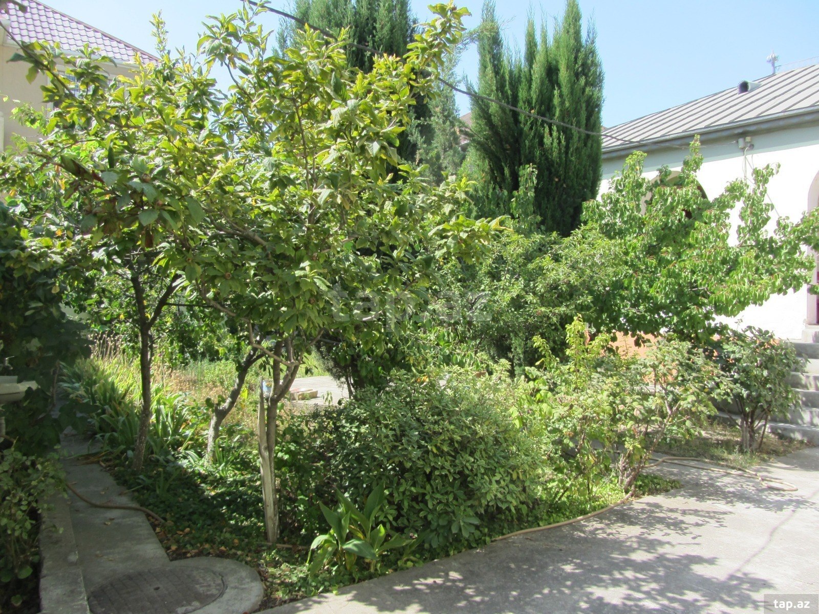 Həyət evi, Zahid Qəmbərov küç. (3)