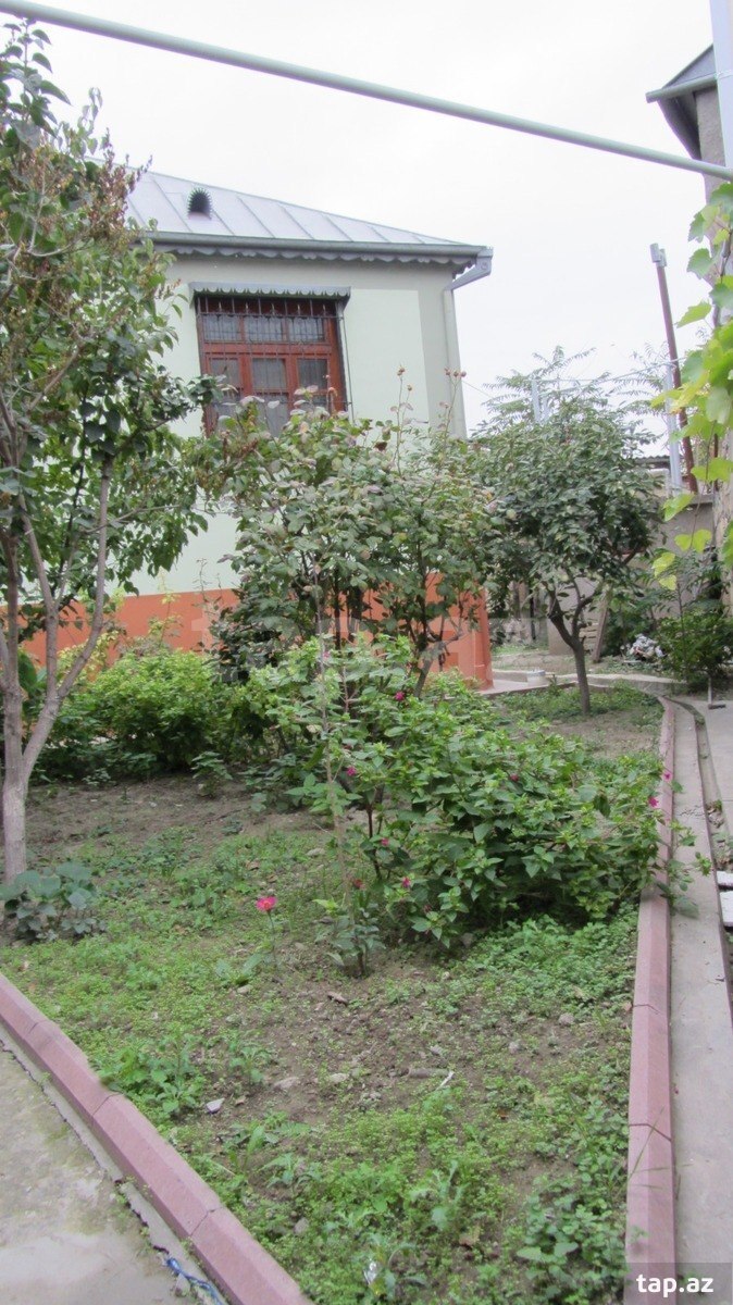 Həyət evi, Zahid Qəmbərov küç. (25)