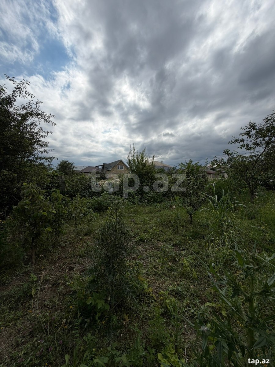 4 sot torpaq sahəsi, Qusar r. (7)