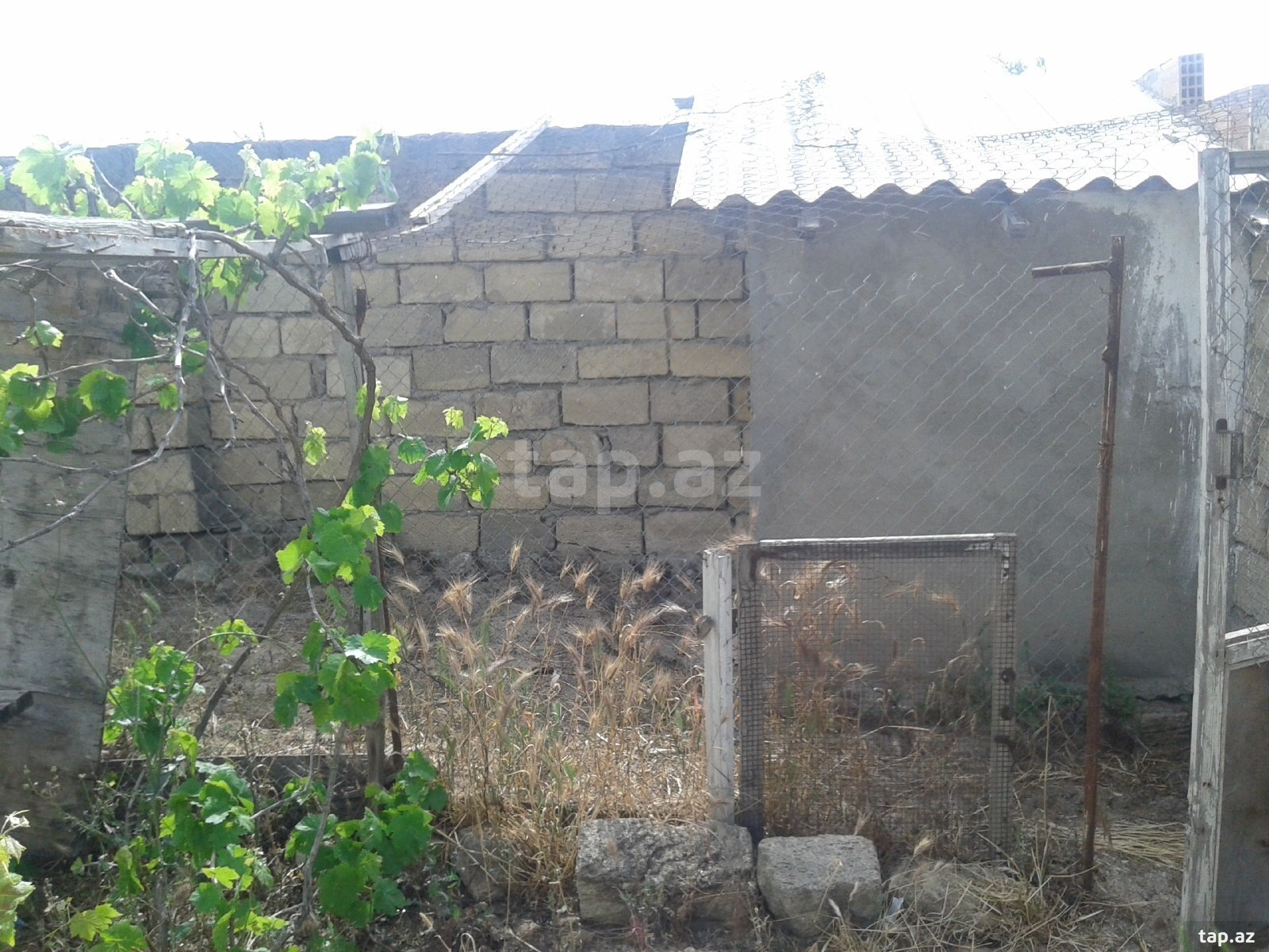 Bağ evi, Saray bağları (25)