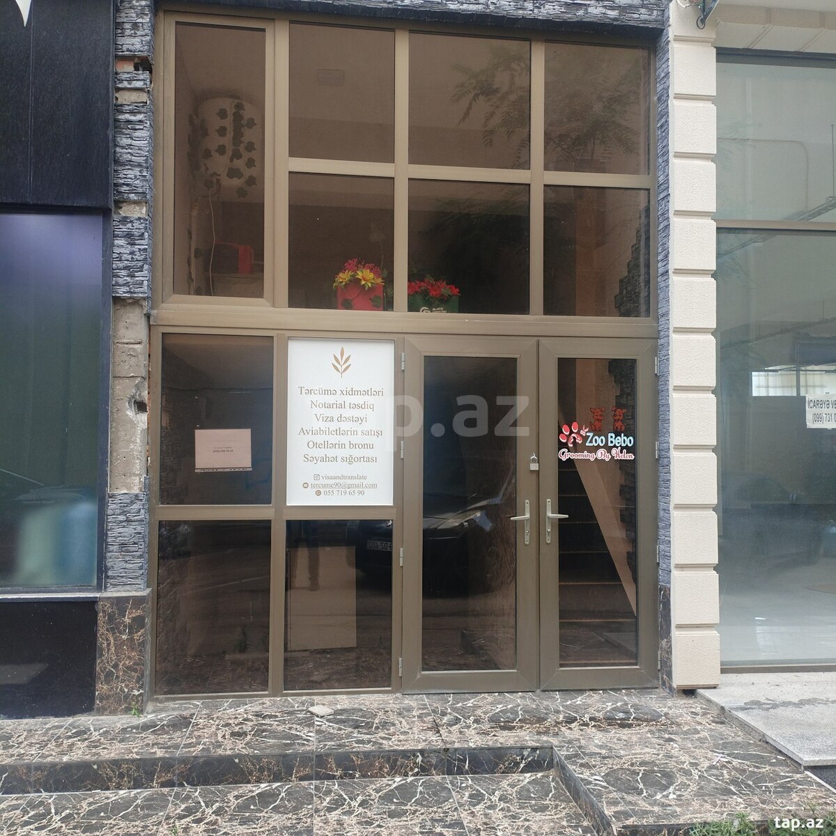 Ofis icarəyə verilir, Ayna Sultanova